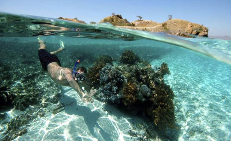 Bachelor party snorkeling in the Dominican Republic