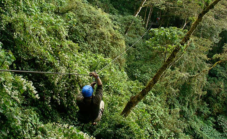 Bachelor Party ziplining in Dominican Republic