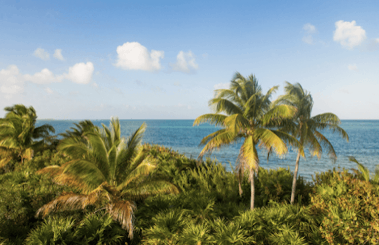 Bachelor pool party in Tulum